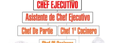 ¿Qué tipos de Chef existen?