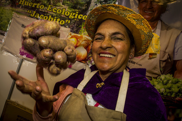 Gran Mercado APEGA